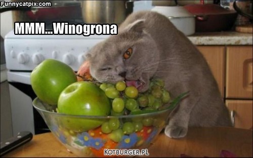 Winogrona – MMM...Winogrona 