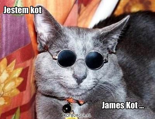 Jestem kot  – Jestem kot James Kot ... 