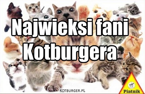 Najwieksi fani 
Kotburgera – Najwieksi fani 
Kotburgera 