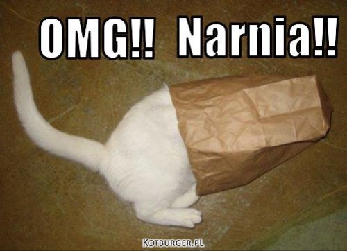 Narnia –  