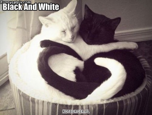 Black And White – Black And White 