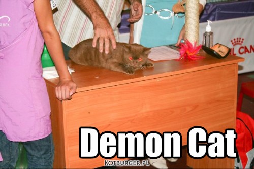 Demon Cat – Demon Cat 