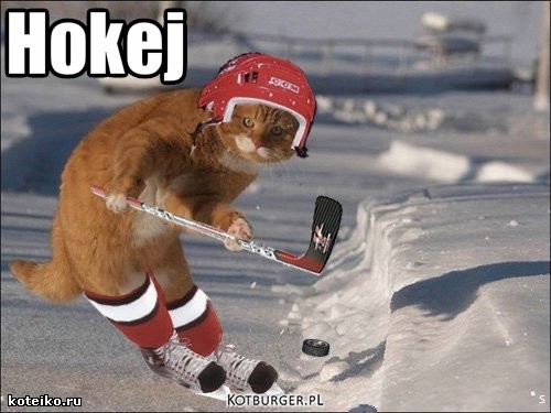 Hokej – Hokej 
