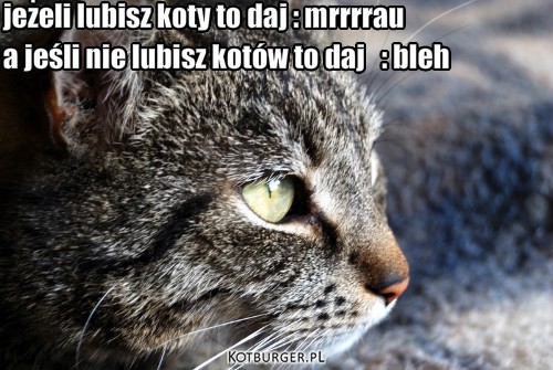 Test  – jeżeli lubisz koty to daj : mrrrrau a jeśli nie lubisz kotów to daj   : bleh 