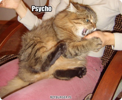 Psycho – Psycho 