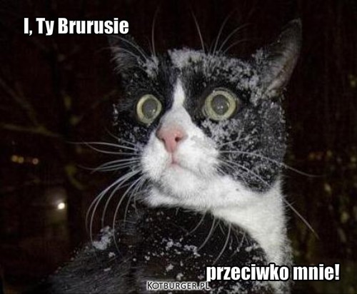 I, Ty!!! – przeciwko mnie! I, Ty Brurusie 