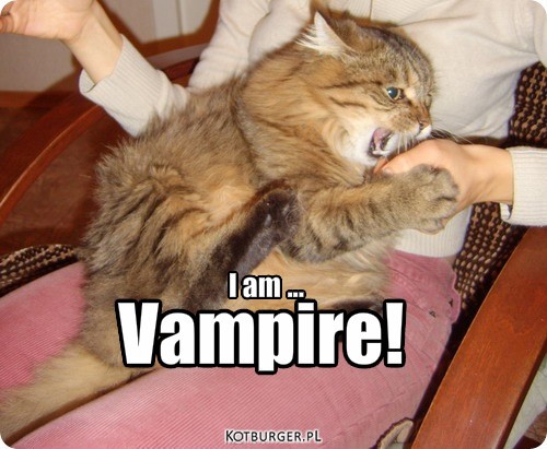 Wampir – I am ... Vampire! 