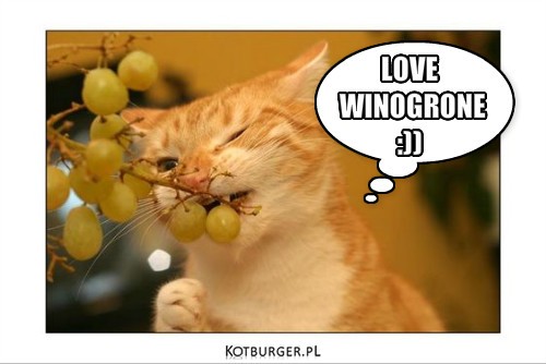 LOVE – LOVE
 WINOGRONE
:)) 