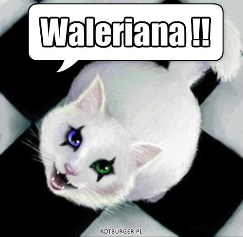 Mrrr – Waleriana !! 