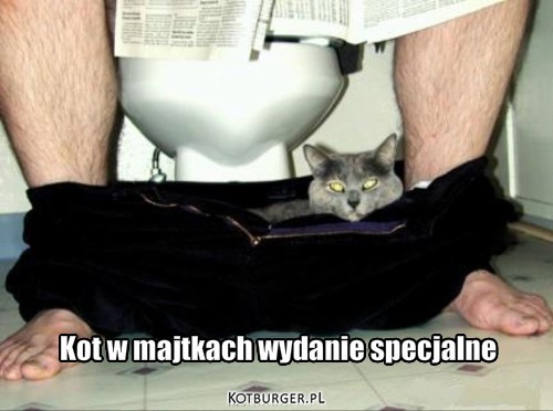 Kot-ek – Kot w majtkach wydanie specjalne 