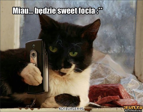 Fotka – Miau... będzie sweet focia :** 