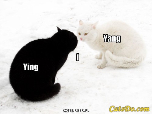 Ying i Yang – Ying Yang i 