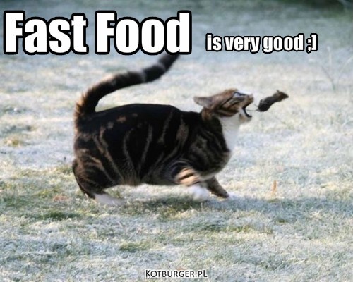 ;d – Fast Food is very good ;] 