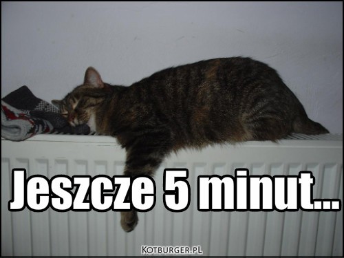 Kotek śpi ;D – Jeszcze 5 minut... 