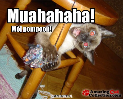 Muahahaha! Mój pompoon! – Muahahaha! Mój pompoon! 