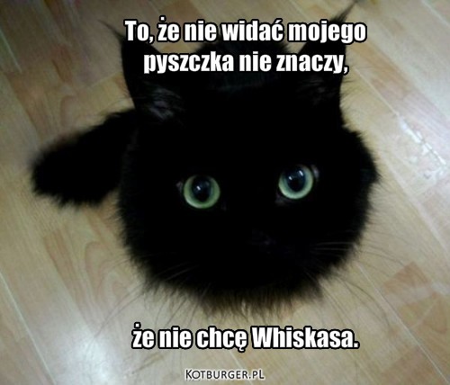 Hmmm – To, że nie widać mojego 
pyszczka nie znaczy,








że nie chcę Whiskasa. 