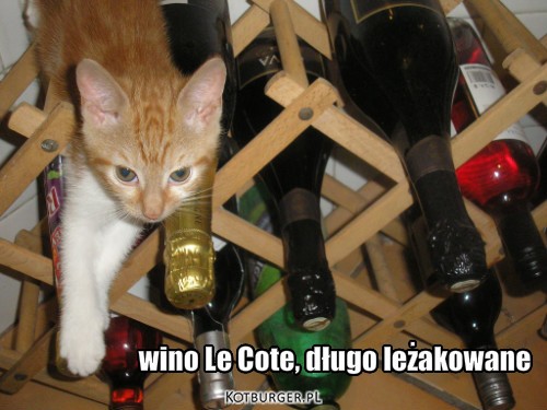 Wino Le Cote, długo leżakowane – wino Le Cote, długo leżakowane 