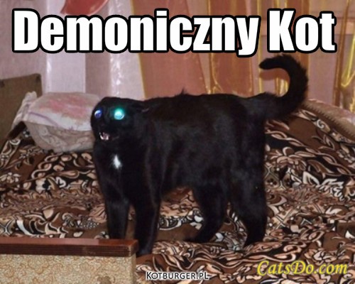 Demoniczny Kot*.* – Demoniczny Kot 