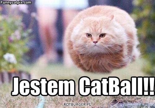 A ty tak potrafisz? – Jestem CatBall!! 