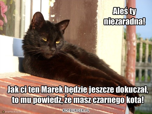  ... – Jak ci ten Marek będzie jeszcze dokuczał,
to mu powiedz, że masz czarnego kota! Aleś ty 
niezaradna! 