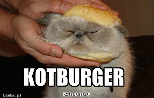 Kotburger – KOTBURGER 