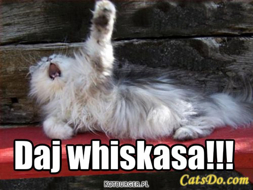 Whiskas – Daj whiskasa!!! 