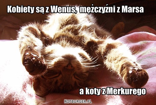Kobiety z Wenus, mężczyźni z Marsa, a koty z Merkurego – Kobiety są z Wenus,  mężczyźni z Marsa a koty z Merkurego 
