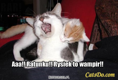 Wampir – Aaa!! Ratunku!! Rysiek to wampir!! 