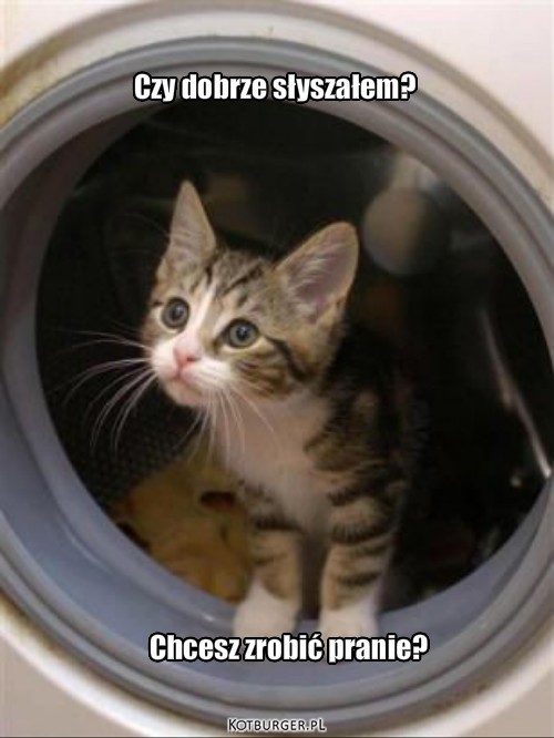 Czy... – Czy dobrze słyszałem? Chcesz zrobić pranie? 