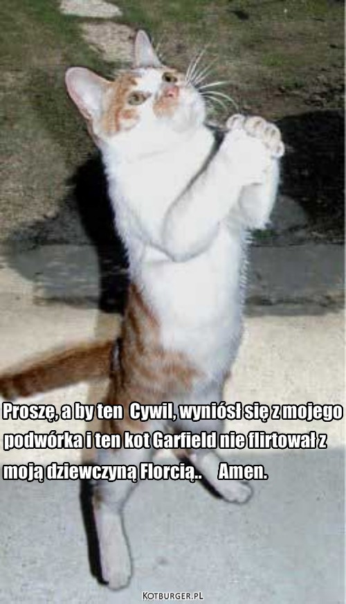 Drogi Panie.... – Proszę, a by ten  Cywil, wyniósł się z mojego podwórka i ten kot Garfield nie flirtował z moją dziewczyną Florcią..     Amen. 