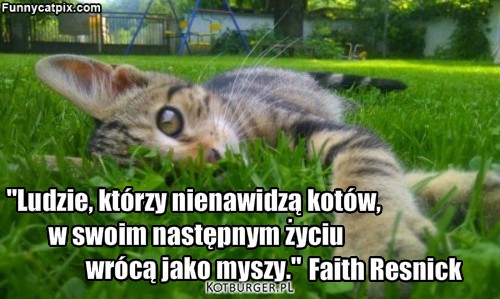 Ludzie... – "Ludzie, którzy nienawidzą kotów,
 w swoim następnym życiu 
wrócą jako myszy." Faith Resnick 