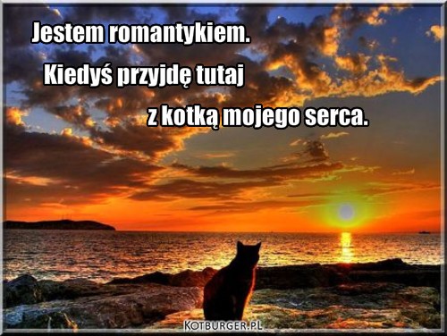Romantyk – Jestem romantykiem. Kiedyś przyjdę tutaj z kotką mojego serca. 