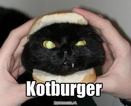 Kotburger v.2 – Kotburger 