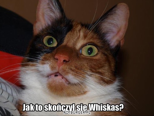 Jak to skończył się Whiskas? –  