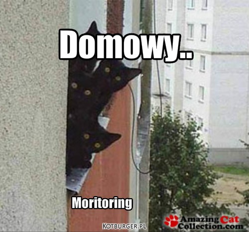Monitoring – Domowy.. Moritoring 