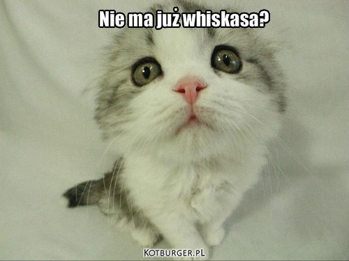 Whiskas – Nie ma już whiskasa? 