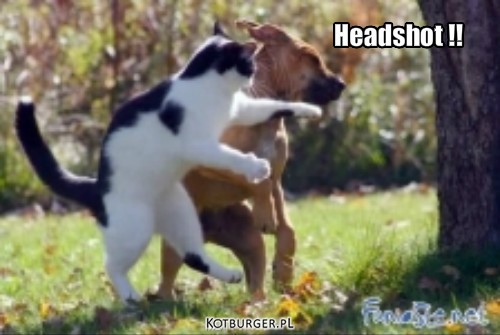 Lewy sierpowy – Headshot !! 