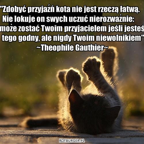 ... – Nie lokuje on swych uczuć nierozważnie: "Zdobyć przyjaźń kota nie jest rzeczą łatwą. może zostać Twoim przyjacielem jeśli jesteś tego godny, ale nigdy Twoim niewolnikiem"
~Theophile Gauthier~ 