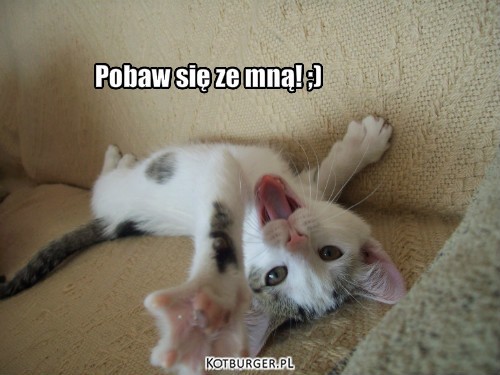 Pobaw się z kotkiem;) –  