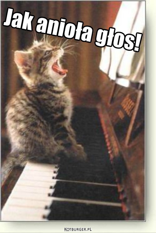 Kot też potrafi.. – Jak anioła głos! 
