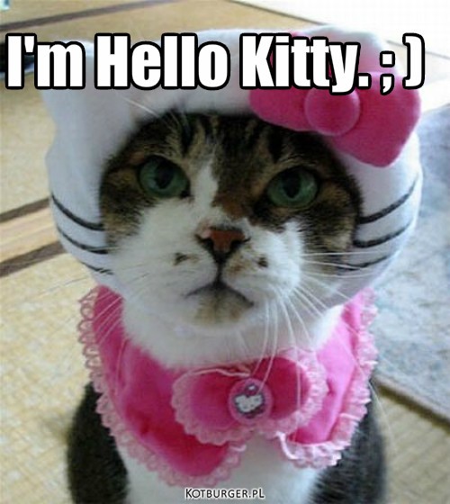 Hello Kitty – I'm Hello Kitty. ; ) 