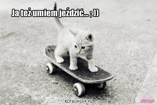 Kot skateboarding – Ja też umiem jeździć... ; )) 