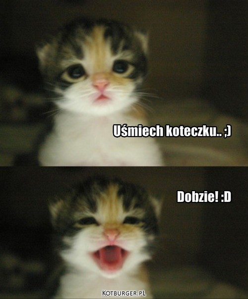 Uśmiech koteczku.. ;) Dobzie! :D – Uśmiech koteczku.. ;) Dobzie! :D 