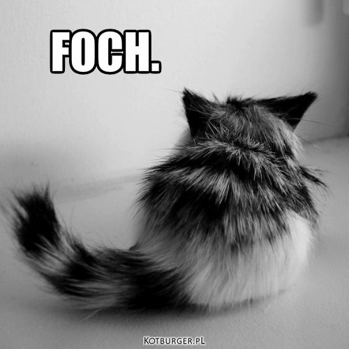 Foch – FOCH. 