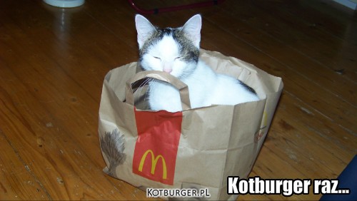 Kotburger – Kotburger raz... 