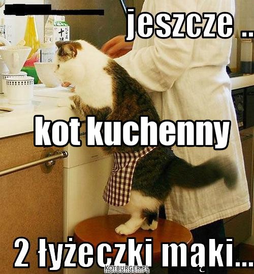 Kot – kot kuchenny 