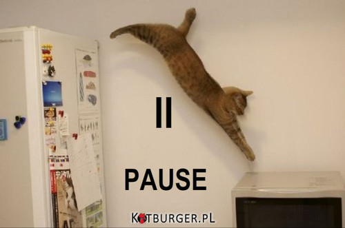 Pause –  