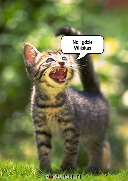Whiskas –  