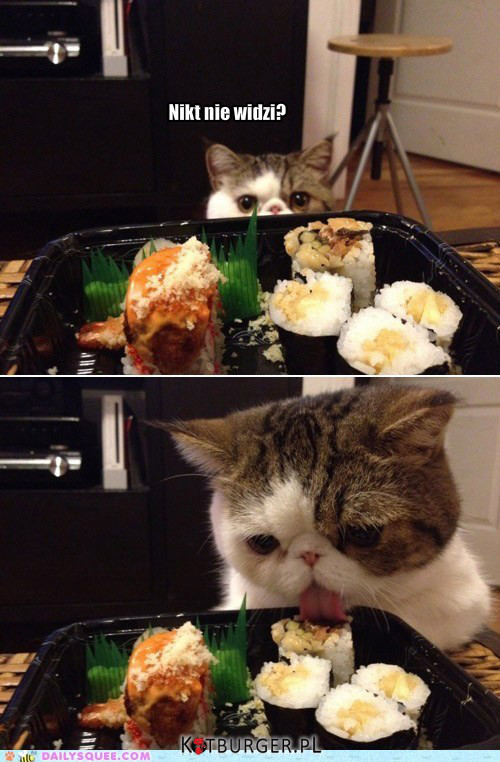 Podjadacz sushi. –  