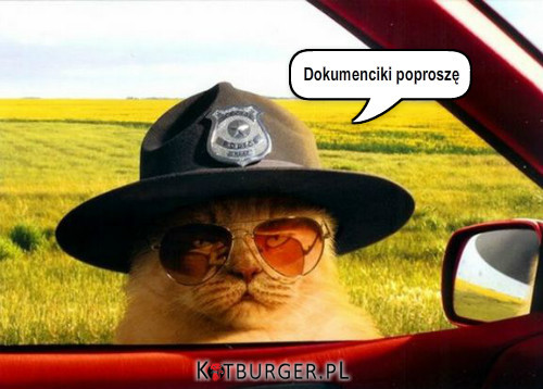 Policjant –  
